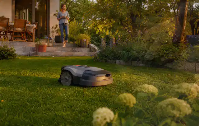 Mähroboter fährt am Abend über einen Rasen im Familiengarten; Thema Segway Navimow, Schwerpunkt Fehlerhilfe; Umsetzung.