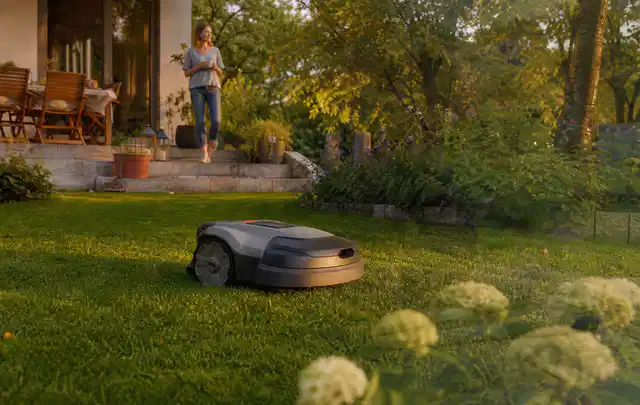 Mähroboter fährt am Abend über einen Rasen im Familiengarten; Thema Segway Navimow, Schwerpunkt Gärten mit großer Fläche; Ausgangslage.