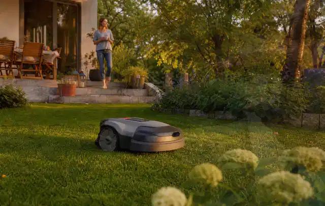 Mähroboter fährt am Abend über einen Rasen im Familiengarten; Thema Segway Navimow, Schwerpunkt Nachhaltigkeit; Ausgangslage.