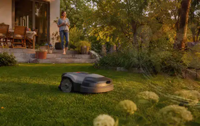 Mähroboter fährt am Abend über einen Rasen im Familiengarten; Thema Segway Navimow, Schwerpunkt Vergleich; Umsetzung.