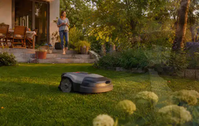 Mähroboter fährt am Abend über einen Rasen im Familiengarten; Thema Segway Navimow, Schwerpunkt Winterlager; Ergebnis.
