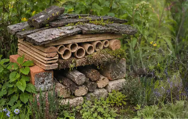 Naturnaher Unterschlupf aus Holz Rinde und Pflanzenstängeln im Garten; Thema Sichtschutzhecken, Schwerpunkt Baurecht; Kontrolle.