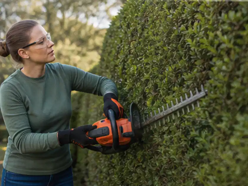 Person schneidet eine dichte Gartenhecke mit Schutzbrille und sicherem Stand; Thema Sichtschutzhecken, Schwerpunkt Checkliste; Titelbild.