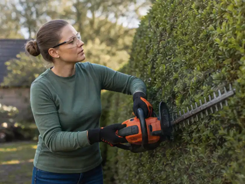Person schneidet eine dichte Gartenhecke mit Schutzbrille und sicherem Stand; Thema Sichtschutzhecken, Schwerpunkt DIY; Titelbild.