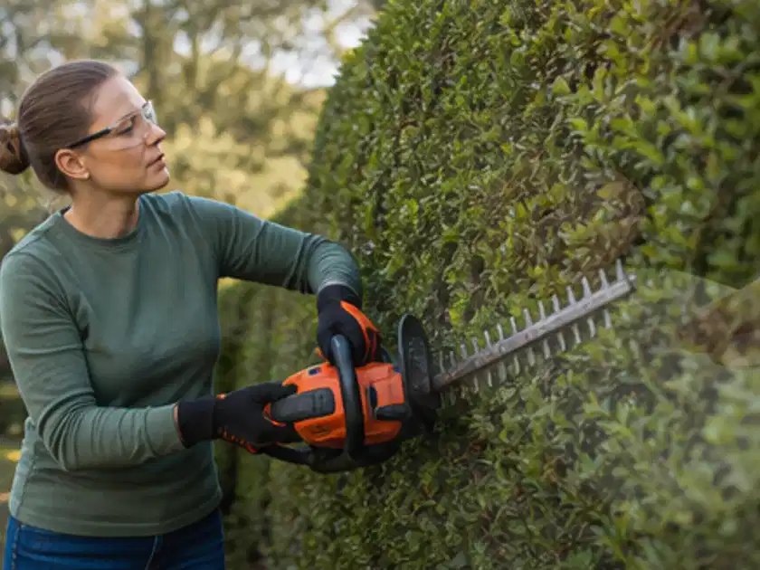 Person schneidet eine dichte Gartenhecke mit Schutzbrille und sicherem Stand; Thema Sichtschutzhecken, Schwerpunkt Gärten mit kleiner Fläche; Titelbild.