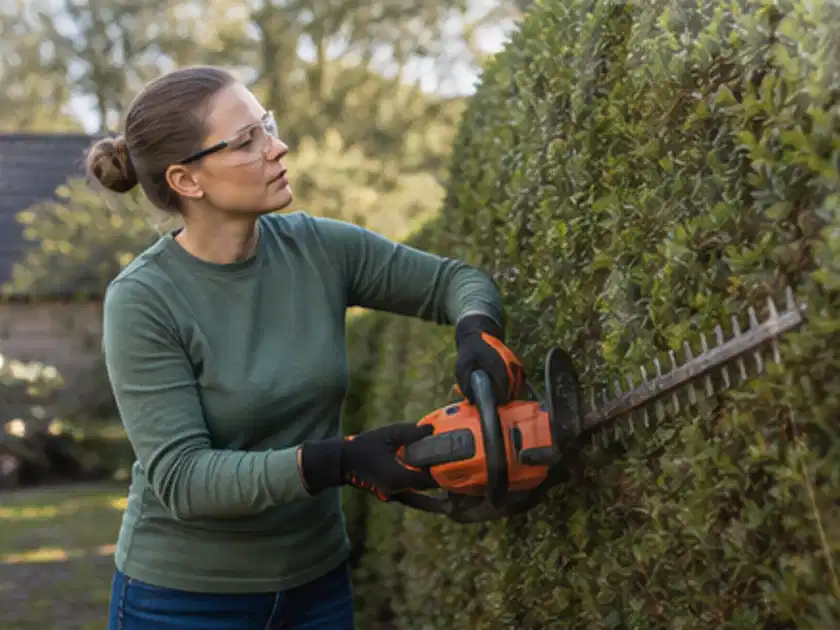 Person schneidet eine dichte Gartenhecke mit Schutzbrille und sicherem Stand; Thema Sichtschutzhecken, Schwerpunkt Materialwahl; Titelbild.