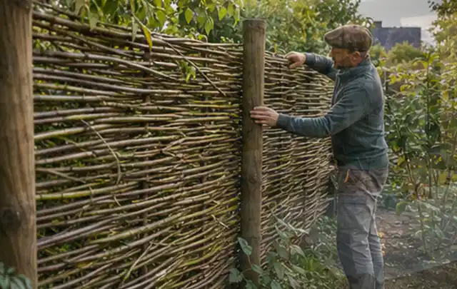 Person befestigt geflochtene Weidenruten an stabilen Holzpfosten im Garten; Thema Sichtschutzhecken, Schwerpunkt Planung; Umsetzung.