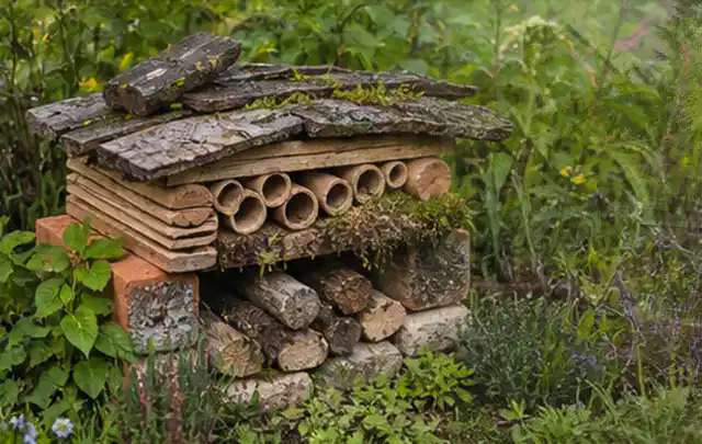 Naturnaher Unterschlupf aus Holz Rinde und Pflanzenstängeln im Garten; Thema Sichtschutzhecken, Schwerpunkt Sichtschutz; Kontrolle.