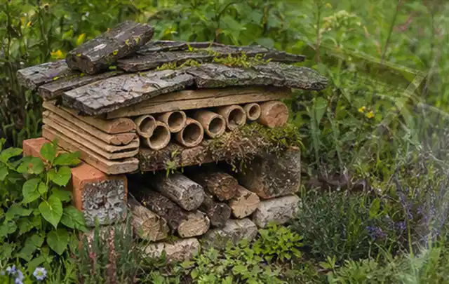Naturnaher Unterschlupf aus Holz Rinde und Pflanzenstängeln im Garten; Thema Sichtschutzmatten, Schwerpunkt DIY; Ergebnis.