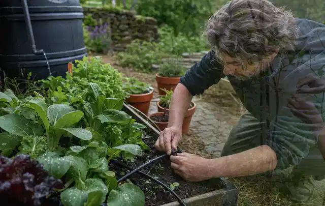 Person stellt die Bewässerung an einem bepflanzten Hochbeet ein; Thema Smart Garden Bewässerung, Schwerpunkt Anwendung; Umsetzung.
