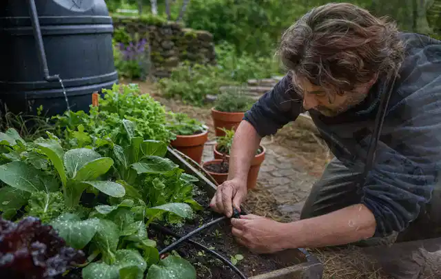 Person stellt die Bewässerung an einem bepflanzten Hochbeet ein; Thema Smart Garden Bewässerung, Schwerpunkt Bestenliste; Praxisalltag.