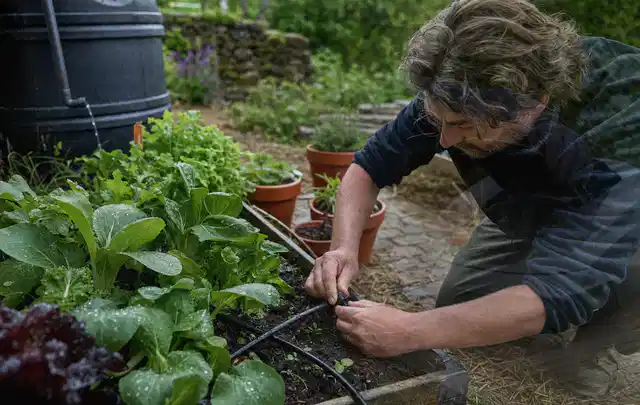 Person stellt die Bewässerung an einem bepflanzten Hochbeet ein; Thema Smart Garden Bewässerung; Ausgangslage.
