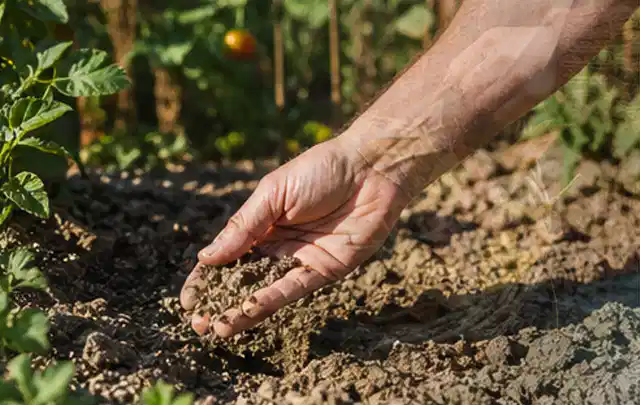 Hand prüft trockene krümelige Gartenerde während einer warmen Sommerphase; Thema Smart Garden Bewässerung, Schwerpunkt Checkliste; Ausgangslage.