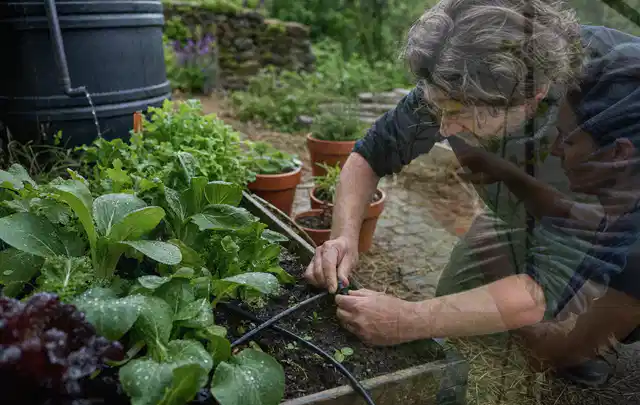Person stellt die Bewässerung an einem bepflanzten Hochbeet ein; Thema Smart Garden Bewässerung, Schwerpunkt Checkliste; Kontrolle.