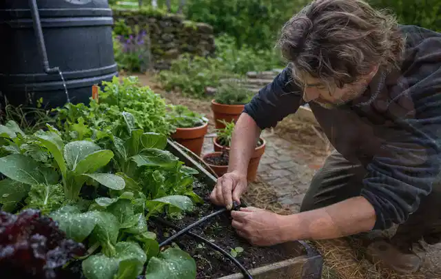 Person stellt die Bewässerung an einem bepflanzten Hochbeet ein; Thema Smart Garden Bewässerung, Schwerpunkt Dimensionierung; Kontrolle.