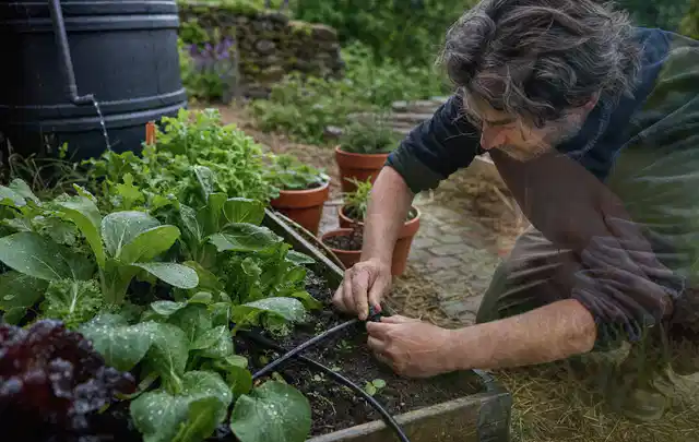 Person stellt die Bewässerung an einem bepflanzten Hochbeet ein; Thema Smart Garden Bewässerung, Schwerpunkt Ersatzteile; Ausgangslage.