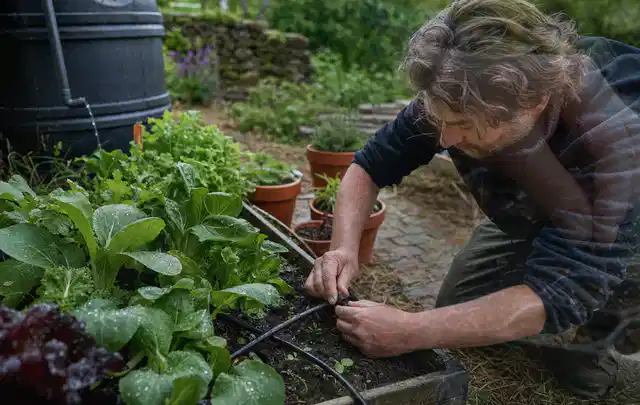 Person stellt die Bewässerung an einem bepflanzten Hochbeet ein; Thema Smart Garden Bewässerung, Schwerpunkt Gärten mit kleiner Fläche; Ergebnis.