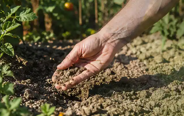 Hand prüft trockene krümelige Gartenerde während einer warmen Sommerphase; Thema Smart Garden Bewässerung, Schwerpunkt Kaufberatung; Ausgangslage.