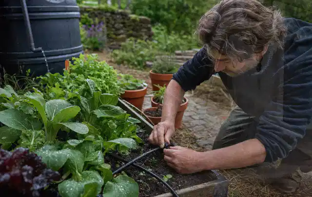 Person stellt die Bewässerung an einem bepflanzten Hochbeet ein; Thema Smart Garden Bewässerung, Schwerpunkt Kosten; Praxisalltag.