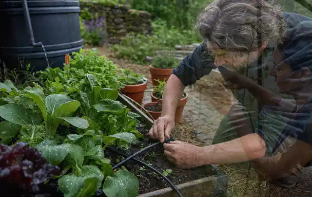 Person stellt die Bewässerung an einem bepflanzten Hochbeet ein; Thema Smart Garden Bewässerung, Schwerpunkt Leistung; Umsetzung.