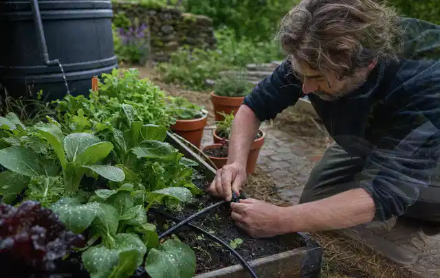 Person stellt die Bewässerung an einem bepflanzten Hochbeet ein; Thema Smart Garden Bewässerung, Schwerpunkt Nachhaltigkeit; Ergebnis.