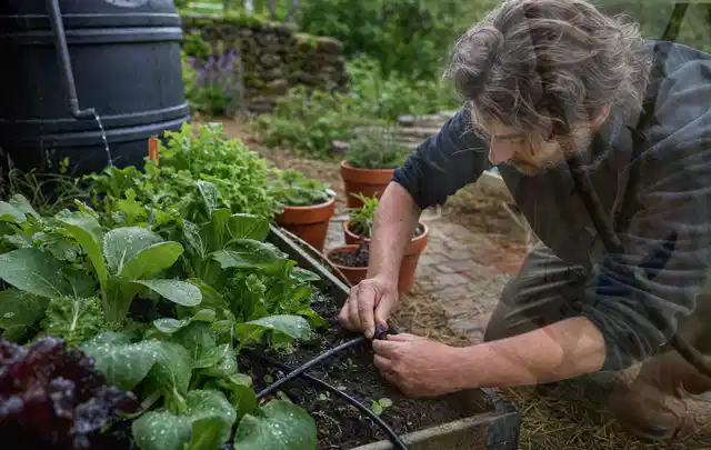 Person stellt die Bewässerung an einem bepflanzten Hochbeet ein; Thema Smart Garden Bewässerung, Schwerpunkt Reinigung; Praxisalltag.