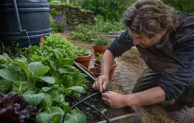 Person stellt die Bewässerung an einem bepflanzten Hochbeet ein; Thema Smart Garden Bewässerung, Schwerpunkt Sicherheit; Umsetzung.