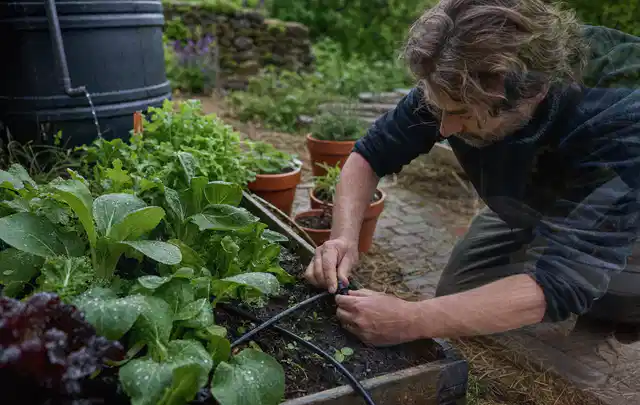 Person stellt die Bewässerung an einem bepflanzten Hochbeet ein; Thema Smart Garden Bewässerung, Schwerpunkt Testkriterien; Kontrolle.