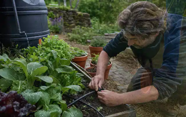 Person stellt die Bewässerung an einem bepflanzten Hochbeet ein; Thema Smart Garden Bewässerung, Schwerpunkt Vergleich; Ausgangslage.