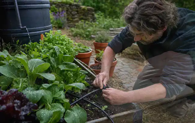 Person stellt die Bewässerung an einem bepflanzten Hochbeet ein; Thema Smart Garden Bewässerung, Schwerpunkt Winterlager; Kontrolle.