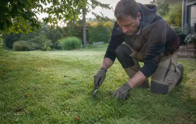 Person prüft den Boden einer gepflegten Rasenfläche im Garten; Thema Spielrasen, Schwerpunkt Bodenpflege; Ergebnis.