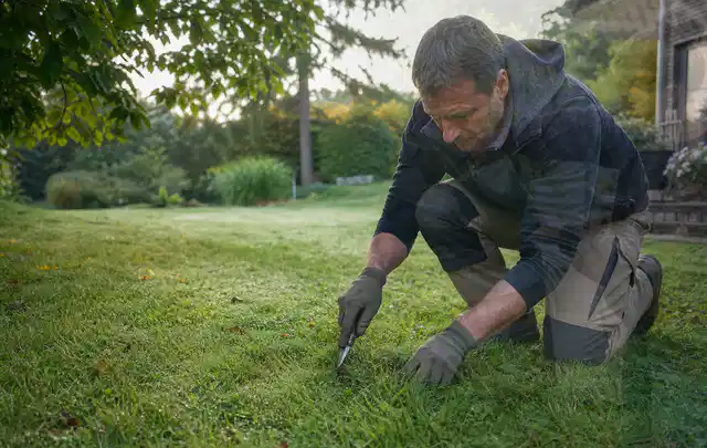 Person prüft den Boden einer gepflegten Rasenfläche im Garten; Thema Spielrasen, Schwerpunkt Checkliste; Ergebnis.