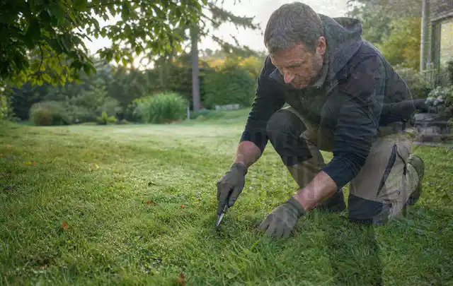 Person prüft den Boden einer gepflegten Rasenfläche im Garten; Thema Spielrasen, Schwerpunkt Düngung; Ergebnis.