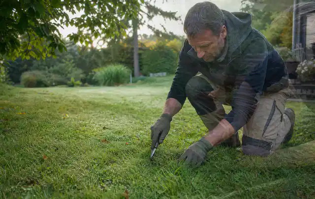 Person prüft den Boden einer gepflegten Rasenfläche im Garten; Thema Spielrasen, Schwerpunkt Fehlerhilfe; Umsetzung.