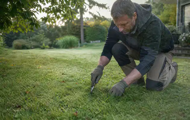 Person prüft den Boden einer gepflegten Rasenfläche im Garten; Thema Spielrasen, Schwerpunkt Moos; Ergebnis.