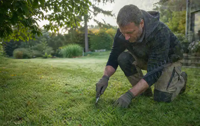 Person prüft den Boden einer gepflegten Rasenfläche im Garten; Thema Spielrasen, Schwerpunkt Nachsaat; Praxisalltag.