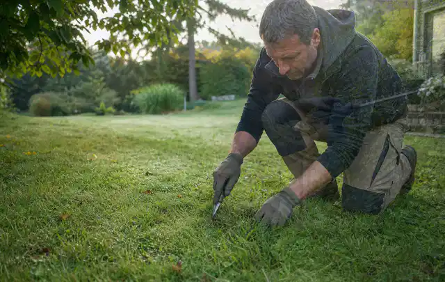Person prüft den Boden einer gepflegten Rasenfläche im Garten; Thema Spielrasen, Schwerpunkt Rasengesundheit; Ergebnis.