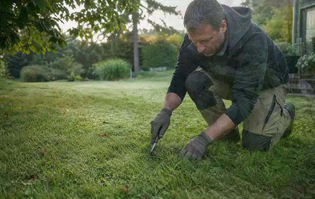 Person prüft den Boden einer gepflegten Rasenfläche im Garten; Thema Spielrasen, Schwerpunkt Rasenpflege; Ergebnis.