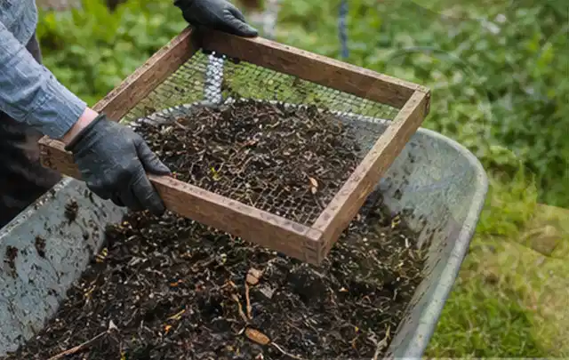 Behandschuhte Hände sieben reifen Kompost über einer Gartenschubkarre; Thema Spinat, Schwerpunkt Lagerung; Praxisalltag.