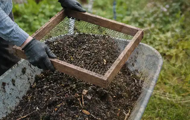 Behandschuhte Hände sieben reifen Kompost über einer Gartenschubkarre; Thema Spinat, Schwerpunkt Schnitt; Kontrolle.