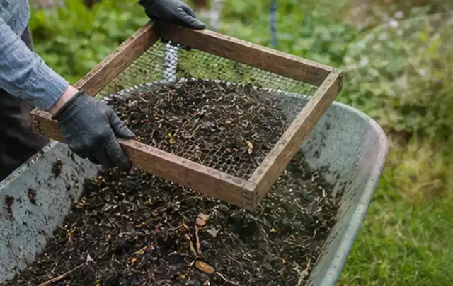Behandschuhte Hände sieben reifen Kompost über einer Gartenschubkarre; Thema Spinat, Schwerpunkt Standort; Ausgangslage.