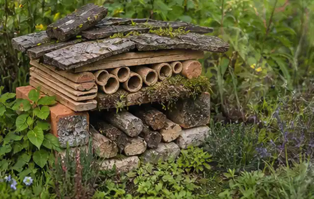 Naturnaher Unterschlupf aus Holz Rinde und Pflanzenstängeln im Garten; Thema Steingarten, Schwerpunkt Gärten mit kleiner Fläche; Kontrolle.