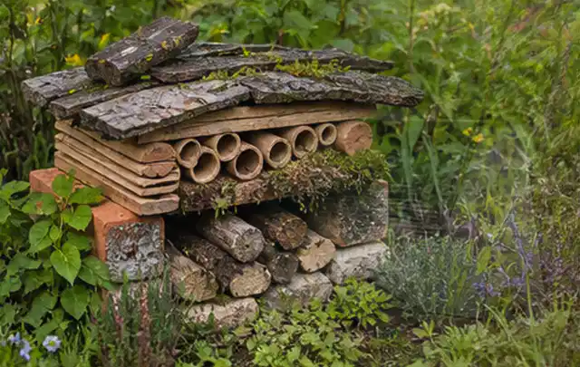Naturnaher Unterschlupf aus Holz Rinde und Pflanzenstängeln im Garten; Thema Steingarten, Schwerpunkt Pflegeleichtigkeit; Ergebnis.