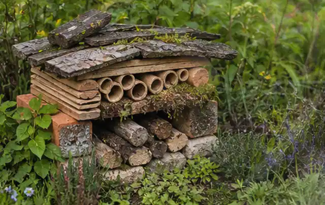 Naturnaher Unterschlupf aus Holz Rinde und Pflanzenstängeln im Garten; Thema Steingarten, Schwerpunkt Praxisbeispiele; Praxisalltag.