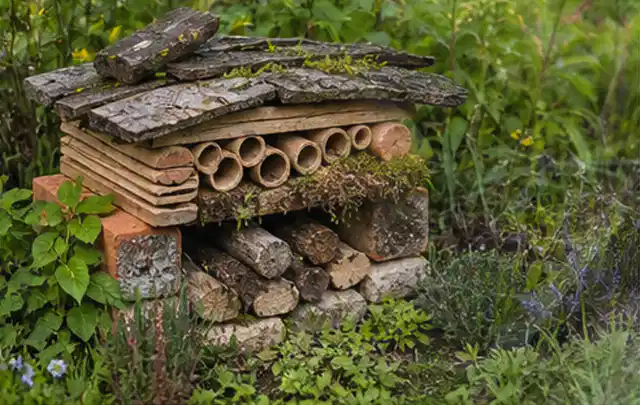 Naturnaher Unterschlupf aus Holz Rinde und Pflanzenstängeln im Garten; Thema Sternrußtau, Schwerpunkt Ursachen; Ergebnis.