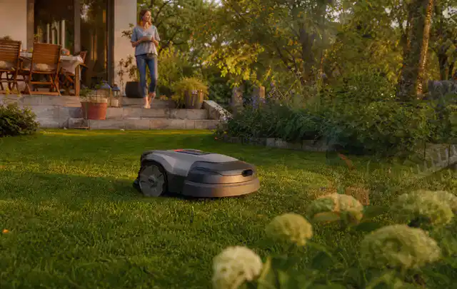Mähroboter fährt am Abend über einen Rasen im Familiengarten; Thema Stihl iMow, Schwerpunkt Bestenliste; Ergebnis.