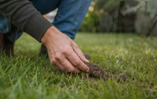 Hand hebt eine kleine Bodenprobe aus einer grünen Rasenfläche; Thema Stihl iMow, Schwerpunkt Dimensionierung; Kontrolle.