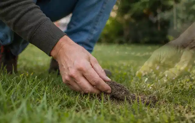 Hand hebt eine kleine Bodenprobe aus einer grünen Rasenfläche; Thema Stihl iMow, Schwerpunkt Fehlerhilfe; Ausgangslage.