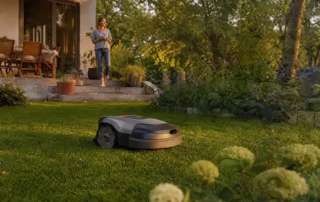 Mähroboter fährt am Abend über einen Rasen im Familiengarten; Thema Stihl iMow, Schwerpunkt Gärten mit großer Fläche; Ausgangslage.