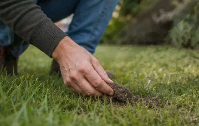 Hand hebt eine kleine Bodenprobe aus einer grünen Rasenfläche; Thema Stihl iMow, Schwerpunkt Leistung; Praxisalltag.